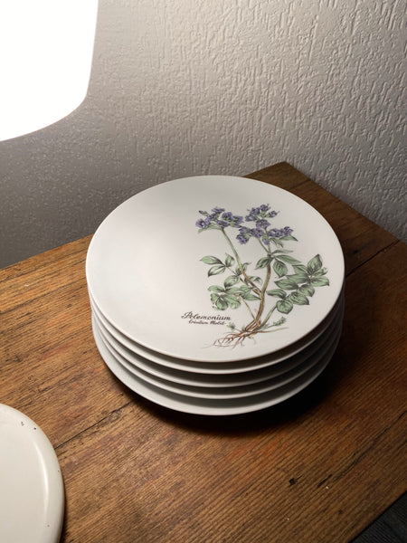 PORCELIANINĖS BOTANICA LĖKŠTĖS