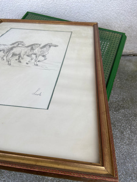 PAVEIKSLAS SU ŽIRGAIS