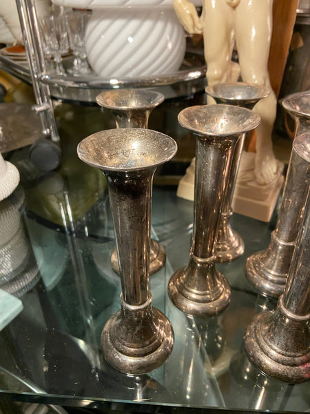 SIDABRU DENGTA ŽVAKIDĖ