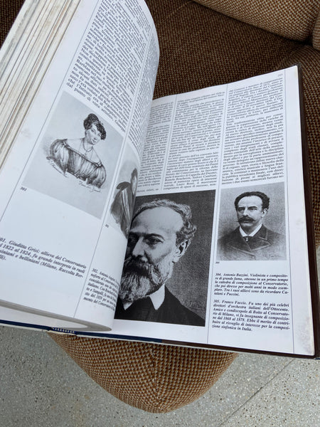 Santa Maria della Passione e il Conservatorio Giuseppe Verdi a Milano knyga