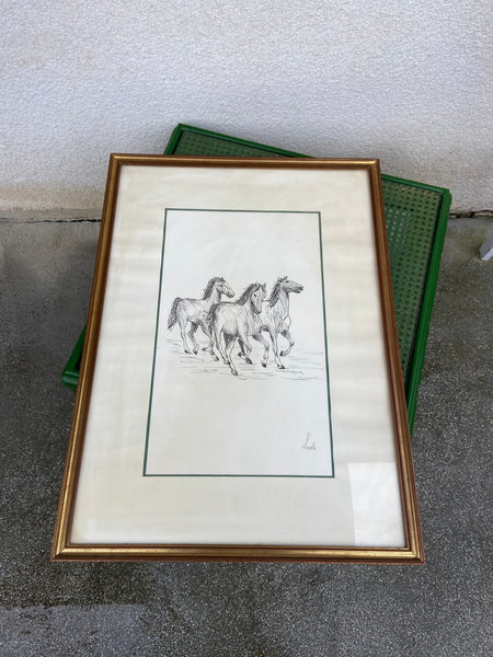 PAVEIKSLAS SU ŽIRGAIS