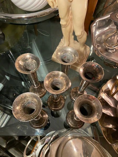 SIDABRU DENGTA ŽVAKIDĖ