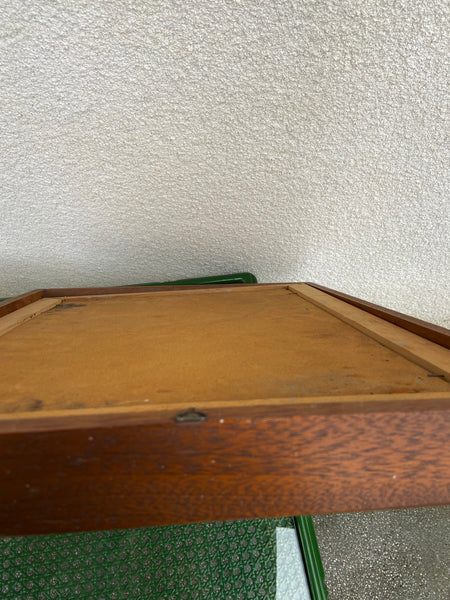 PAVEIKSLAS SU RUDENS PEIZAŽU