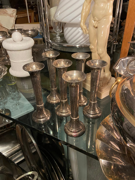 SIDABRU DENGTA ŽVAKIDĖ