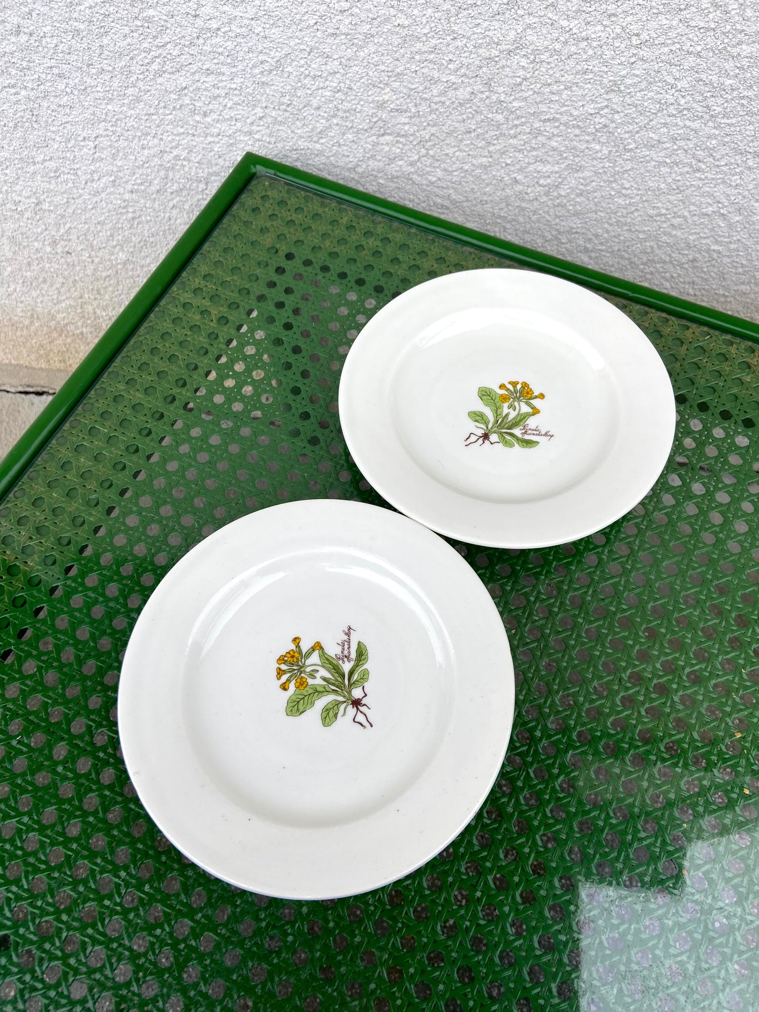 DVI BOTANICA LĖKŠTUTĖS