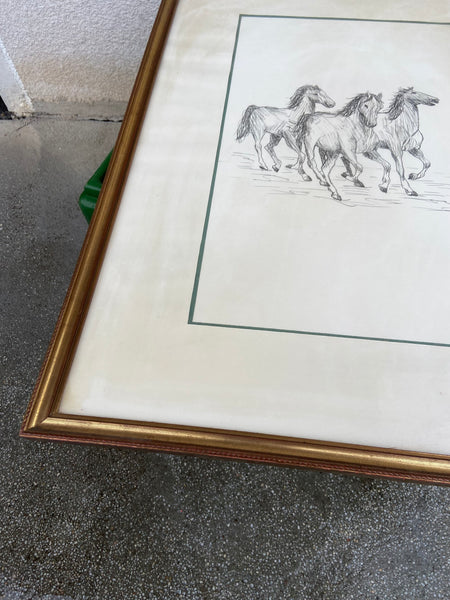 PAVEIKSLAS SU ŽIRGAIS