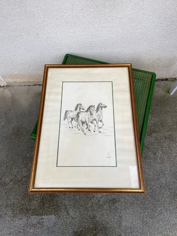 PAVEIKSLAS SU ŽIRGAIS