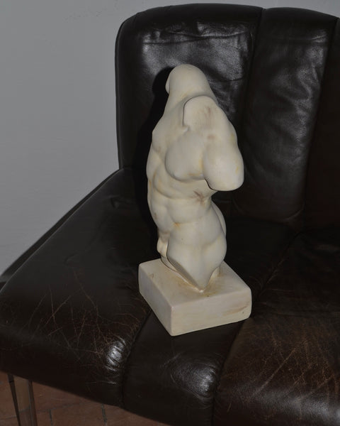 KLASIKINĖ VYRIŠKO TORSO FIGŪRA