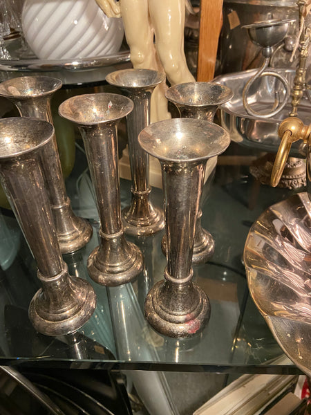 SIDABRU DENGTA ŽVAKIDĖ