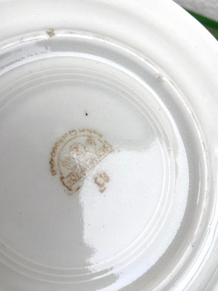 DVI BOTANICA LĖKŠTUTĖS