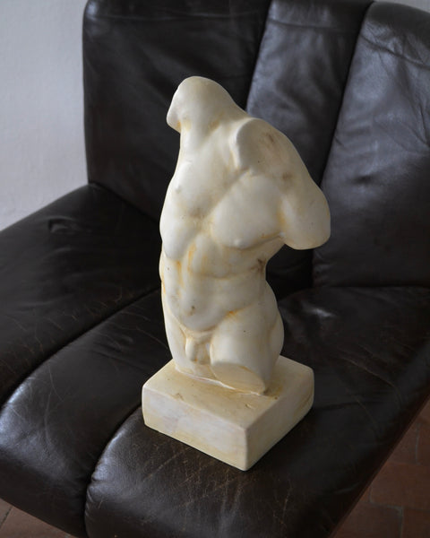 KLASIKINĖ VYRIŠKO TORSO FIGŪRA