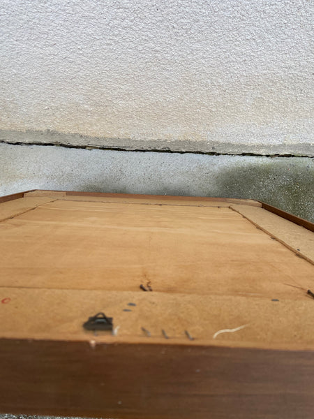 PAVEIKSLAS / REPRODUKCIJA