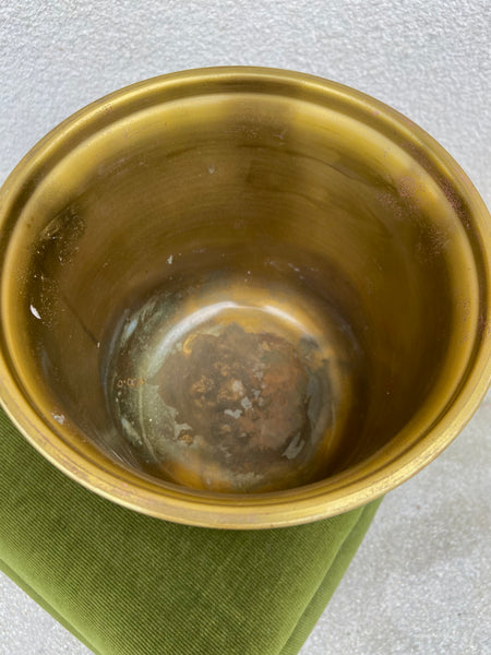 ŽALVARINIS ŠAMPANO KIBIRĖLIS