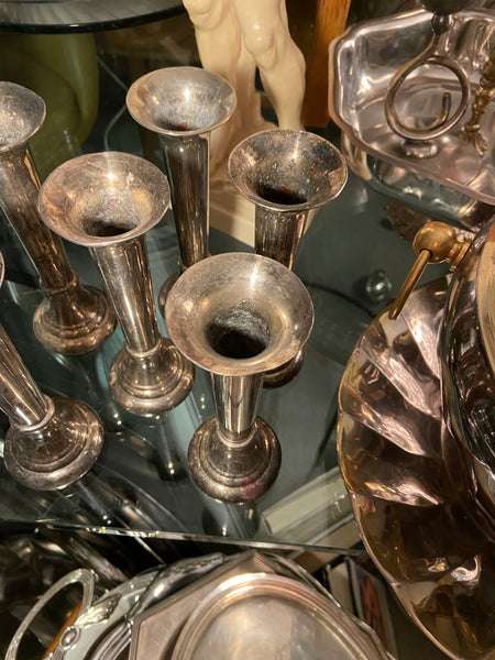 SIDABRU DENGTA ŽVAKIDĖ