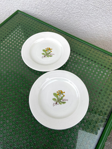 DVI BOTANICA LĖKŠTUTĖS