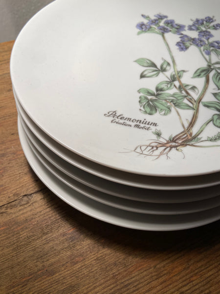 PORCELIANINĖS BOTANICA LĖKŠTĖS