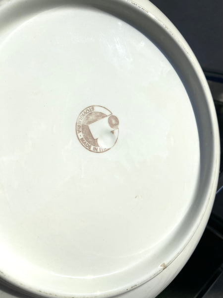 DUBUO SU SPALVOTOMIS JUOSTELĖMIS