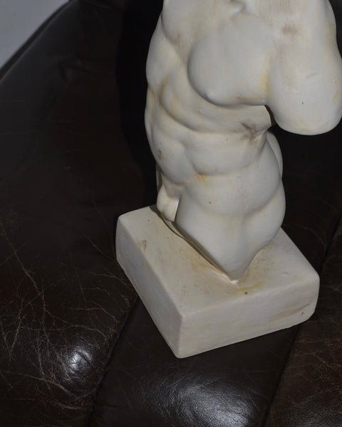 KLASIKINĖ VYRIŠKO TORSO FIGŪRA