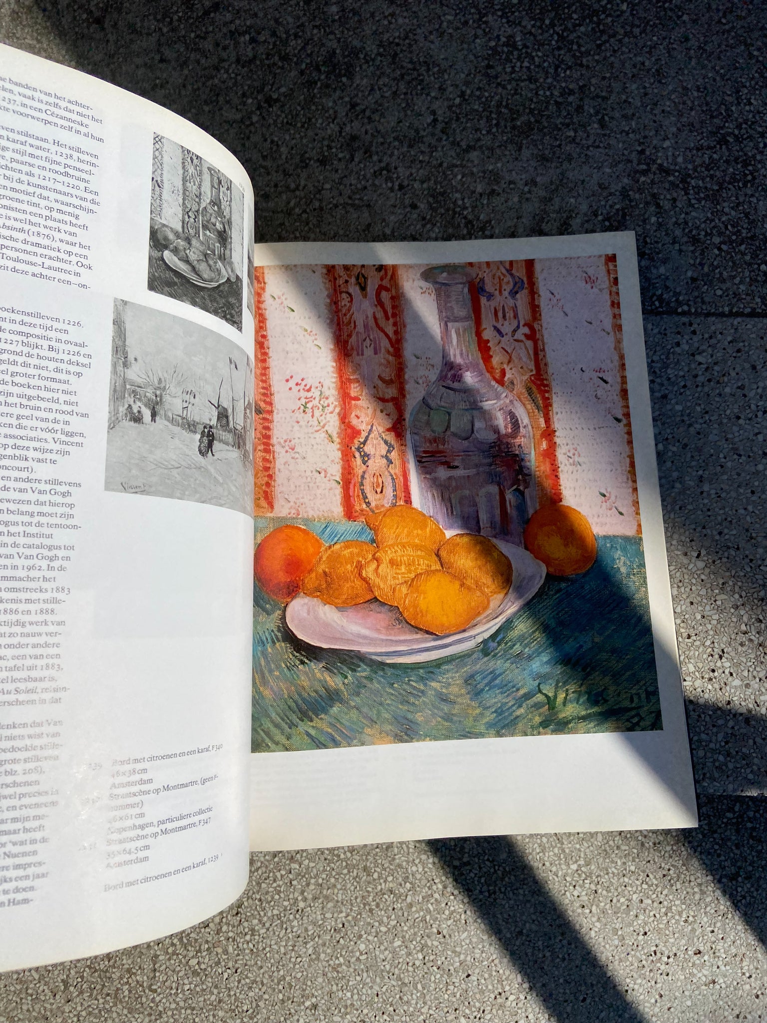 VAN GOGH DARBŲ KNYGA
