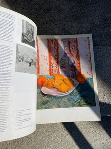 VAN GOGH DARBŲ KNYGA